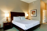 Hilton Garden Inn Seattle/Issaquah Hôtels à : Snoqualmie