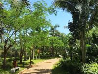 澄迈棕榈水城商务酒店 - 花园