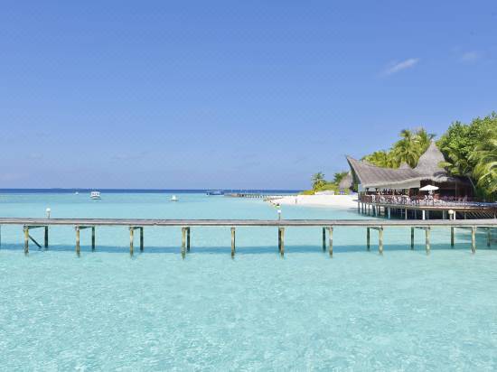 トラギリ アイランド リゾート スパ モルディブ モルディブ 宿泊予約 安い料金プラン 口コミ 部屋写真 Trip Com