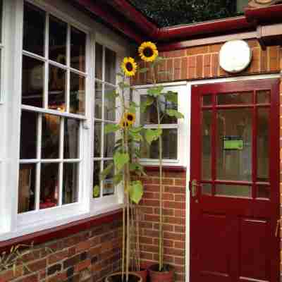 The Cherry Tree Hotel Exterior