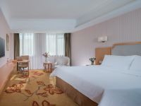 维也纳3好酒店(天津中新生态城店) - 豪华大床房
