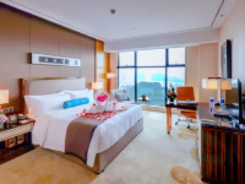 興義國龍雅閣大酒店（穿雲洞公園荷花巷步行街店） 興義酒店