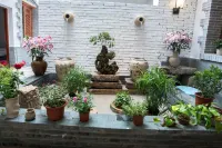 Buerju Courtyard Hostel