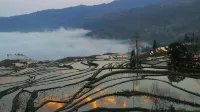 Yuanyang Duoyishu Scenic Area Inn