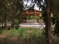 敦煌思鹿客栈 - 花园