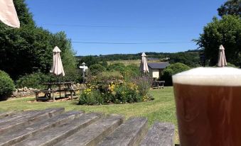 a glass of beer is sitting on a wooden deck overlooking a lush green garden at The Nobody Inn