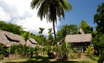Wild Orchid Resort - Havelock Island
