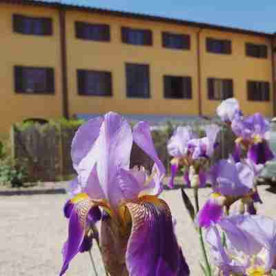 Horto Convento Hotel Exterior