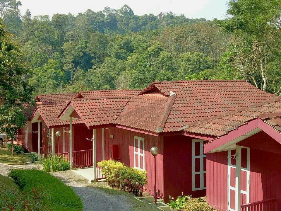 Serene Resort Training Centre Hotel Berbintang 3 Di Kampung Janda Baik