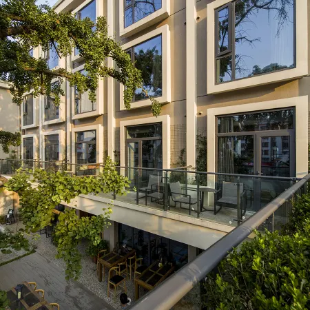 Ginkgo No.8 Homestay