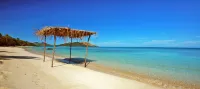 Blue Lagoon Beach Resort Hotels in Tavewa Island