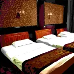 Wangcang Minyi Hotel