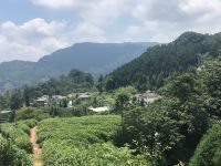 邛崃景逸山庄 - 其他