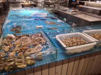 東戴河海天翼アパート