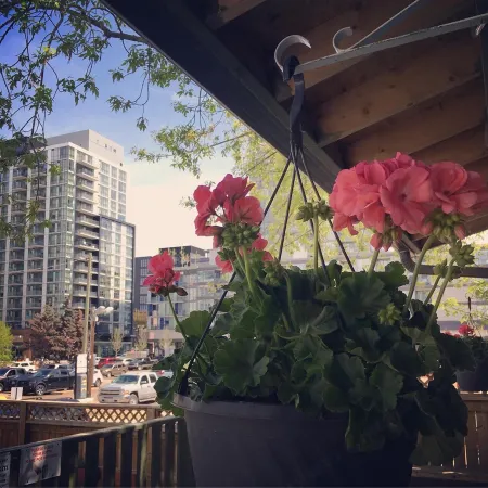 HI Calgary City Centre - Hostel