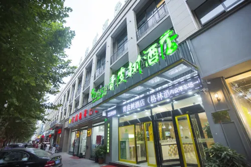 GreenTree Vatica Hotel (Xiao Jin Street Longhu Road)