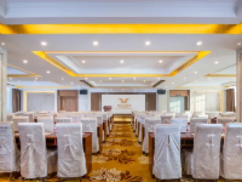 비엔나 호텔 (우웨이 톈이 맨션 지점)