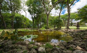 We Stay Well Sanctuary Barbados - Wellness in Paradise