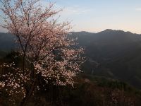 衡山竹海山庄 - 酒店附近