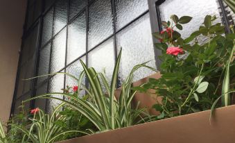 There is an iron fence on the outside wall, and a window with potted plants at Metropolo Jinjiang Hotel Classiq (Shanghai Nanjing Road Pedestrian Street)