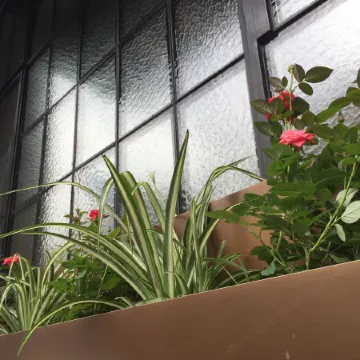 Metropolo Nanjing Road Nanjing Hotel, Shanghai