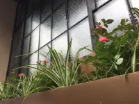 上海錦江都城南京飯店