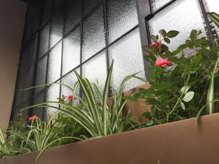 Metropolo Nanjing Hotel, Shanghai