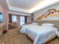 维也纳国际酒店(韶山景区店) - 高级温馨双床房