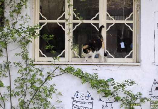 수이위안 젠 퉁리 가든 호텔