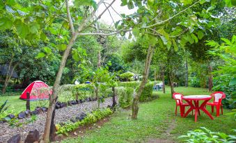 Rukenya Islands - Campsite