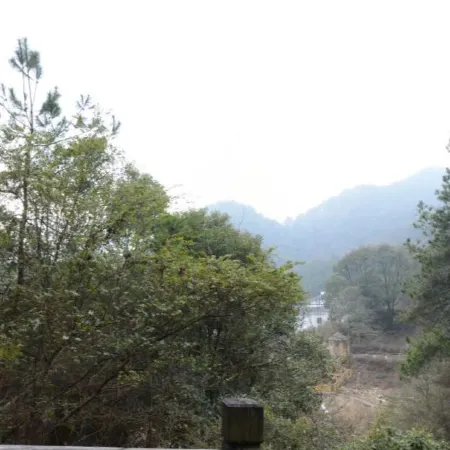 Lushan Zuishi Hot Spring Resort Hotel