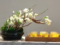 Fushang Inn - spa