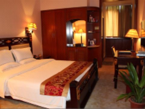 百色鑫鑫大酒店 - 2号楼豪华单人间