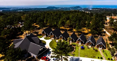 Browncabin Pension Hoteles en Jeju