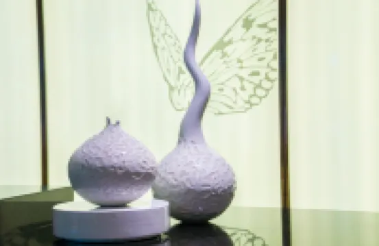 AMBASSADOR TRANSIT LOUNGE - T2, SINGAPORE CHANGI AIRPORT (AIRSIDE)