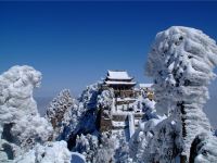 九华山和瑞居 - 酒店附近