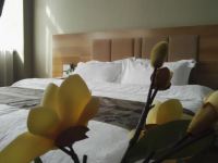 察布查尔海峰酒店 - 标准大床房