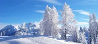 Wuchang Snow Valley mountain Courier station