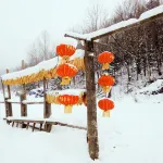 Wuchang Xuegu Mangniuhe Yizhan