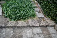 Moganshan Ziling Villa - farm stay