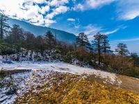 峨眉山雷洞坪山庄 - 酒店附近