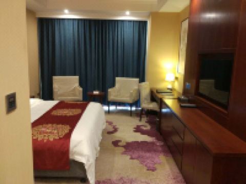 昌图蓝海国际温泉酒店 - 大床房