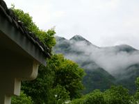 天台花谷槑缘民宿 - 酒店景观