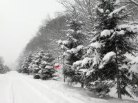 雪谷童话时光客栈 - 酒店附近