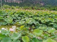 天台逢观民宿