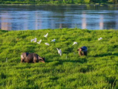 Dexing Hotel Các khách sạn ở Đức Hưng