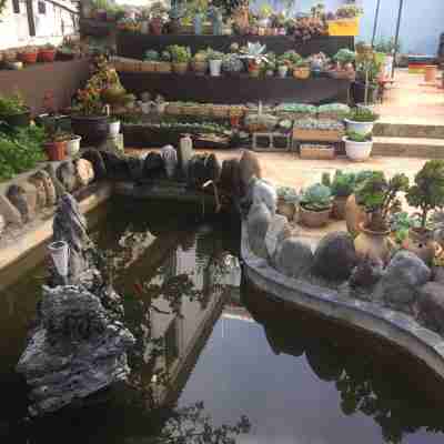 沙溪老院民宿 Hotel Exterior