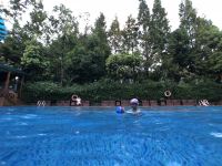 青城山欢朋上善度假别墅 - 室外游泳池