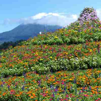 あかん遊久の里 鶴雅 Hotel Exterior