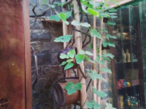 咸阳陶然小隐客栈 - 公共区域